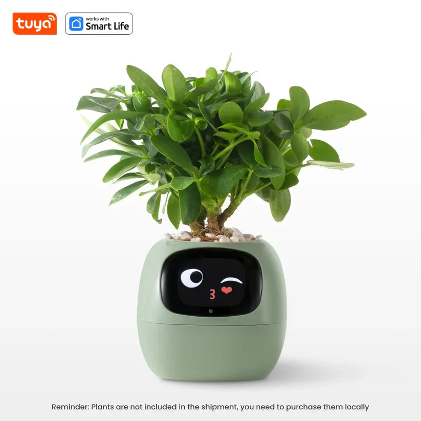 Florigotchi - AI Smart Planter